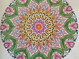 whatsapp bild 2023-08-13 um 18.48.11